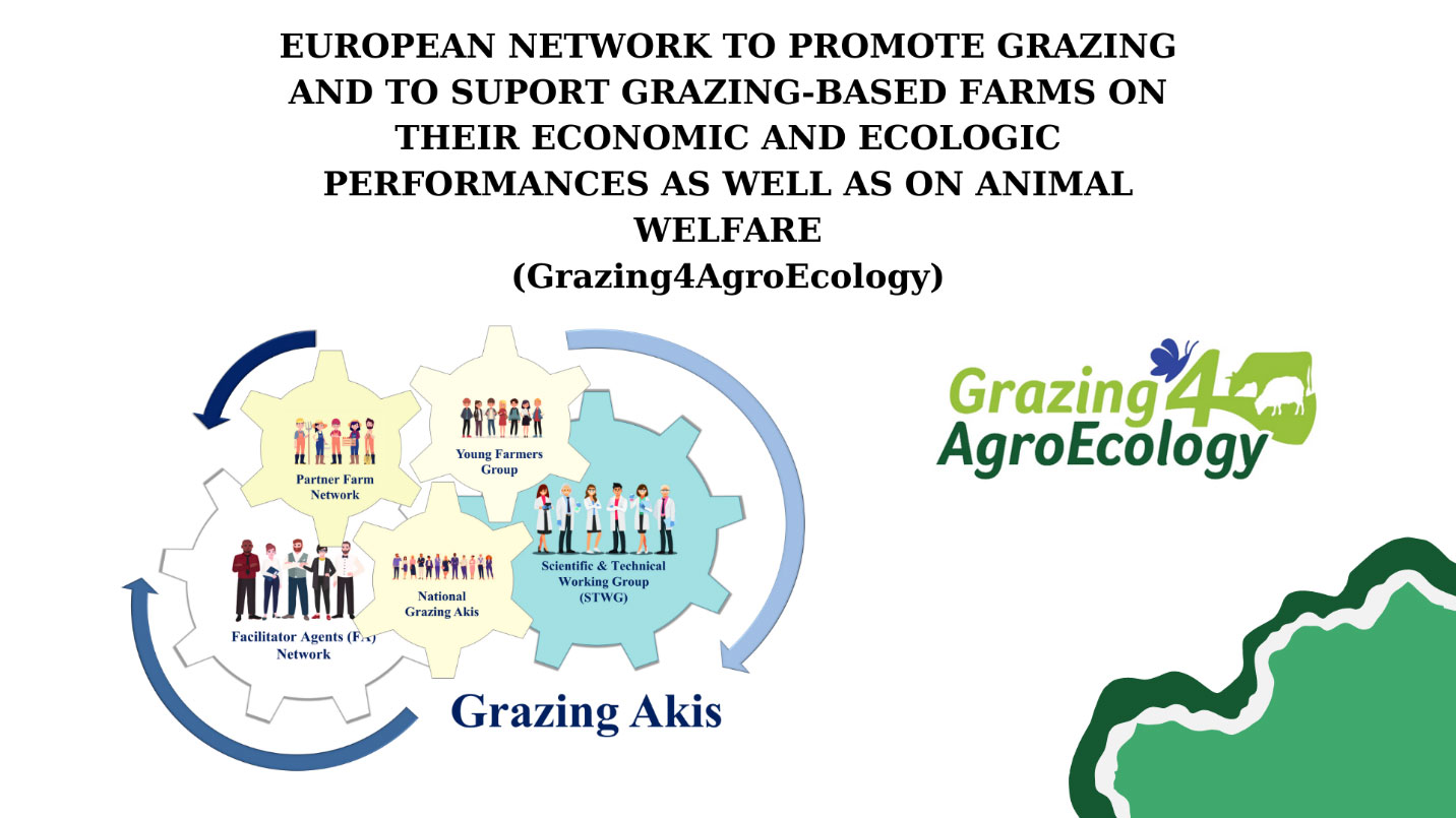 European Network to promote grazing and to support grazing-based farms on their economic and ecologic performances as well as on animal welfare