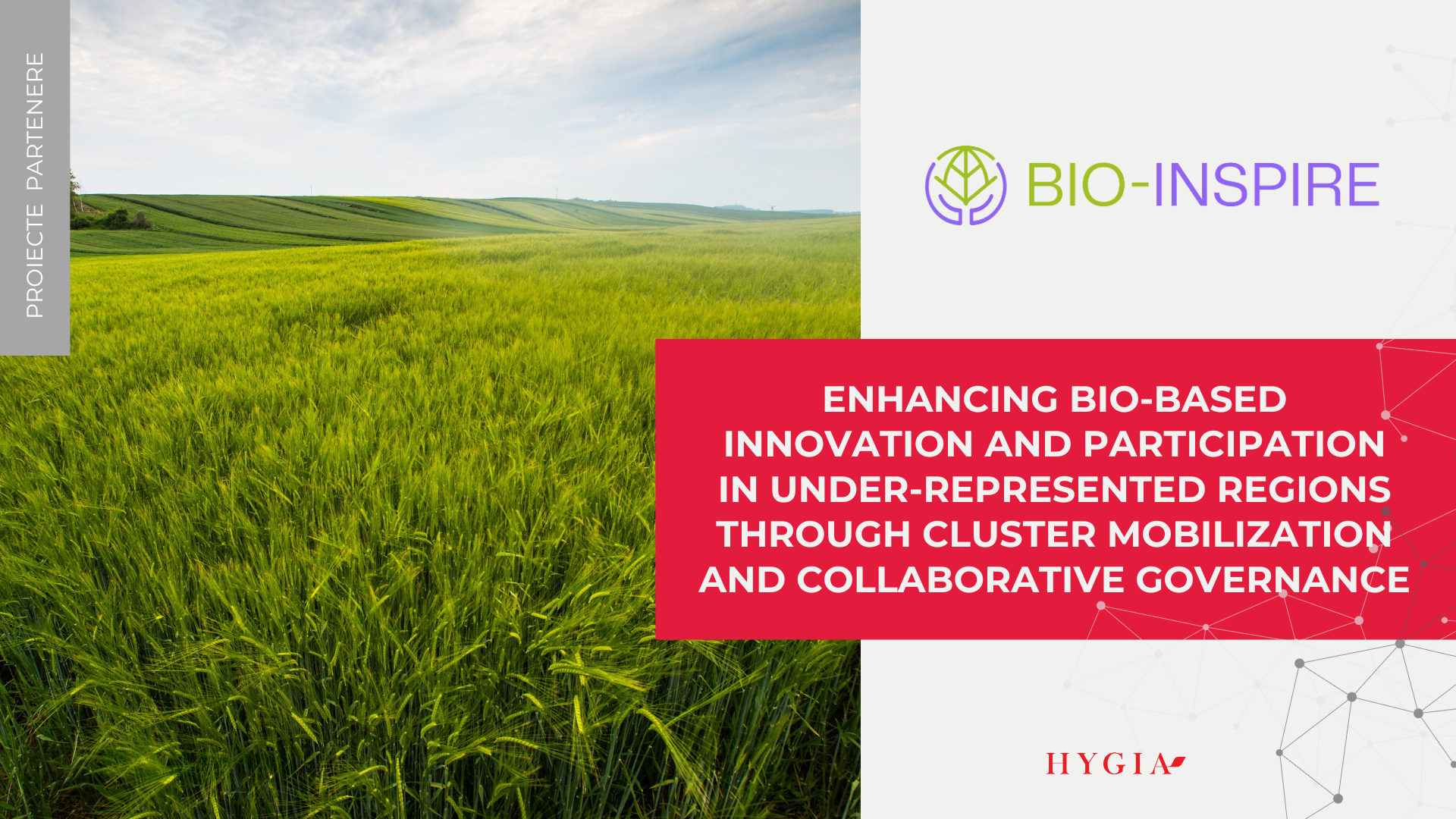 Enhancing bio-based innovation and participation in under-represented regions through cluster mobilization and collaborative governance
